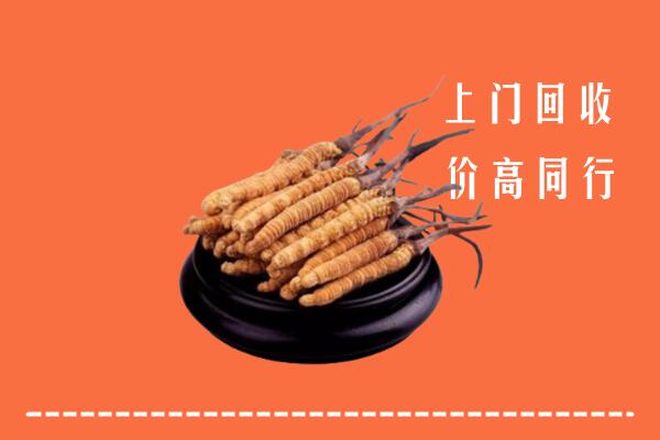 高价求购：西双版纳州勐海回收散虫草