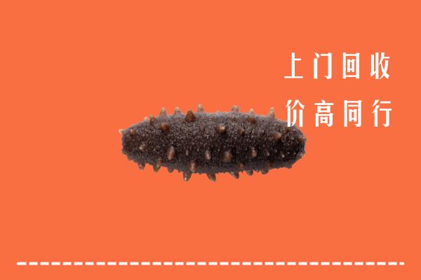 高价求购：西双版纳州勐海回收海参