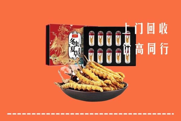 西双版纳州勐海回收虫草